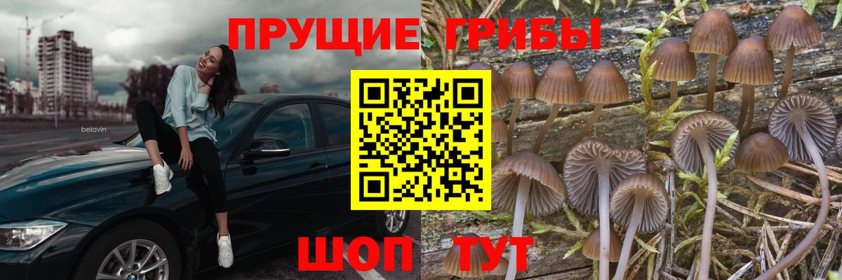 Галлюциногенные грибы MAGIC MUSHROOMS  Вход с VPN  Фрязино 