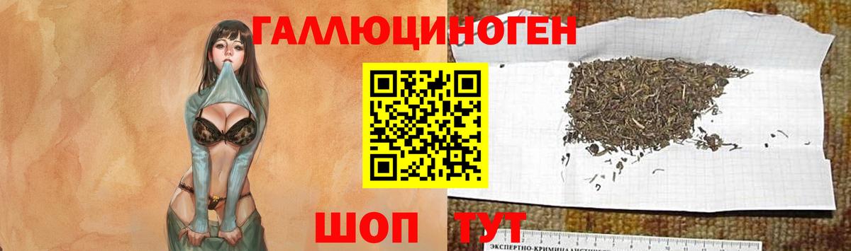 Галлюциногенные грибы GOLDEN TEACHER Фрязино